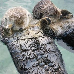 Meet your Posher, Sarah jane